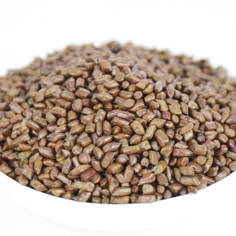HelloYoung 500g Cassia seeds tea new product cooked cassia seeds tea bulk herbal tea