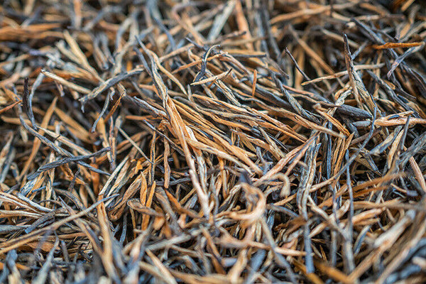 HelloYoung Yunnan Fengqing DianHong tea Pine Needle Un bourgeon une feuille Golden Needle