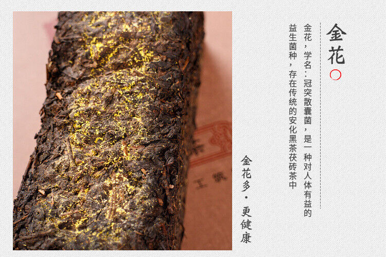 HelloYoung 1kg Anhua black tea Jinhua handmade Fu brick tea Tianjian raw material black tea