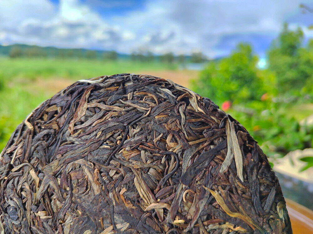 HelloYoung 200g Yiwu Pu-erh Tea Old Raw Tea Tianmen Mountain High Pole Pu-erh Old Cake Tea