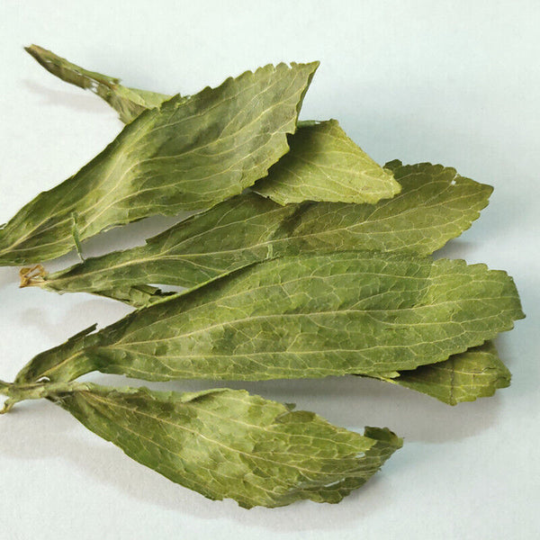 HelloYoung Wholesale supply of stevia/stevia leaf bulk goods wholesale 17.6oz