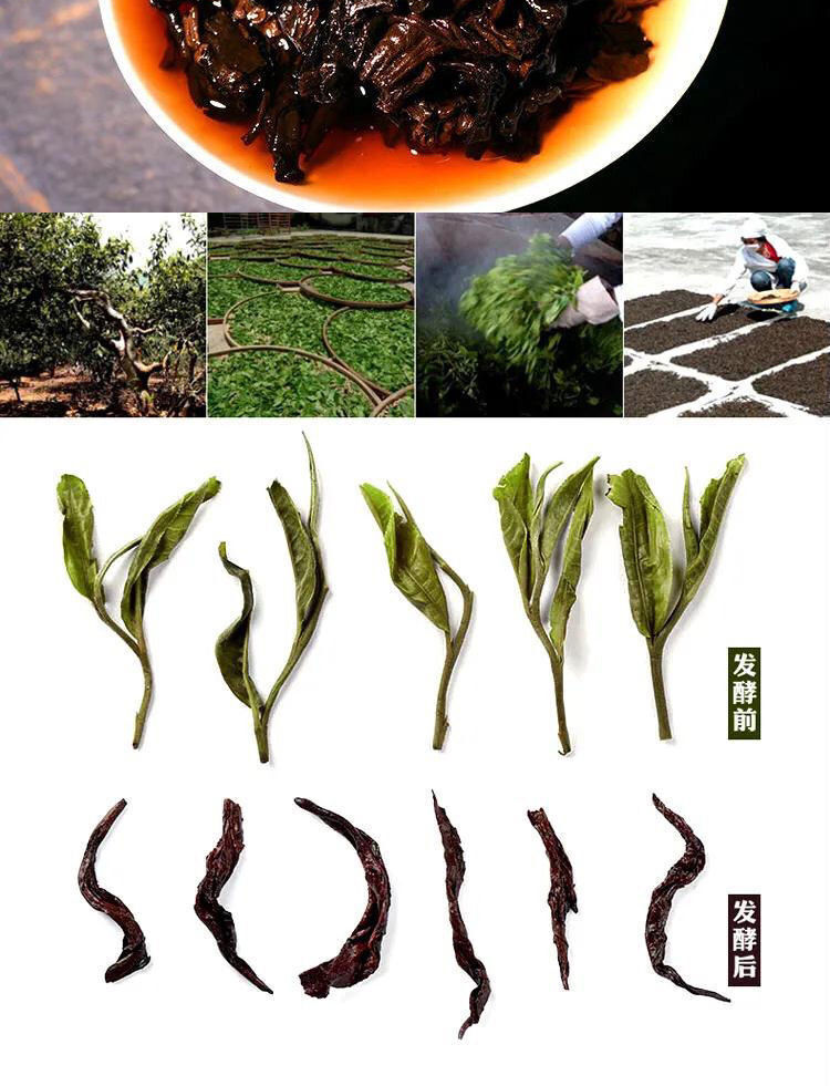 HelloYoung 357g Yunnan Pu'er Tea Mature Tea Old Pu'er Yunnan Qizi Cake Aged and Fragrant