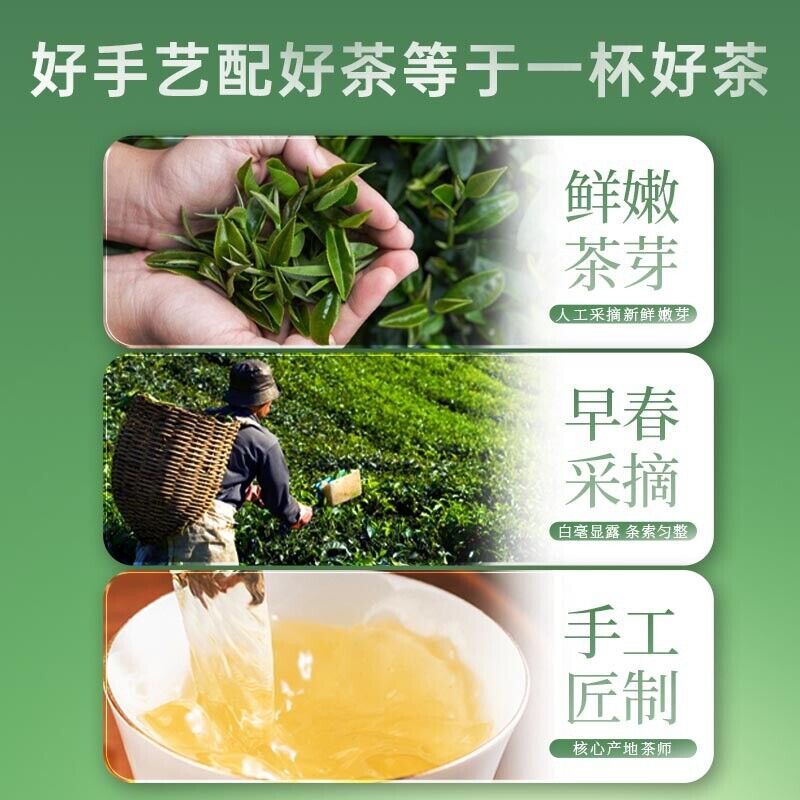 Yixing Maojian Green Tea Fresh Green Tea New Tea 50g