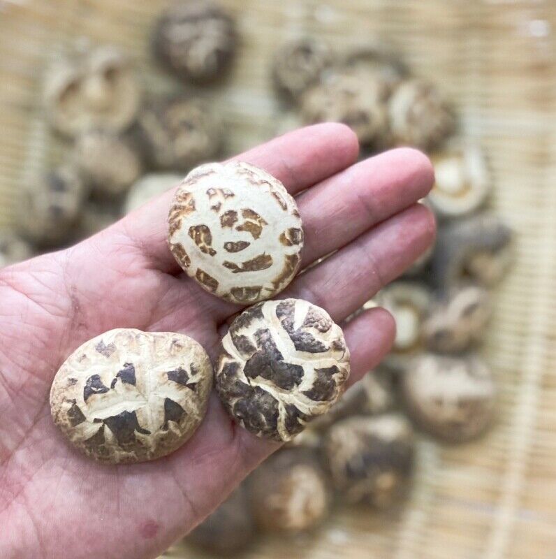 HelloYoung Premium Dried Tea Flower Edible Mushroom Chinese Herbal Fungi Bag Package 250g Secondary image