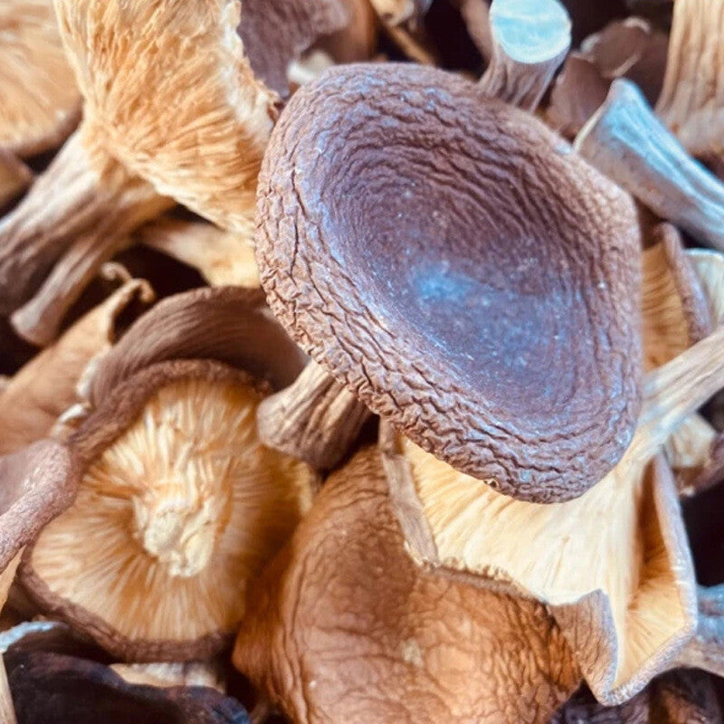 Dried Pig Stomach Fungus Shiitake Mushrooms for Soup Wild Mountain Delicacy