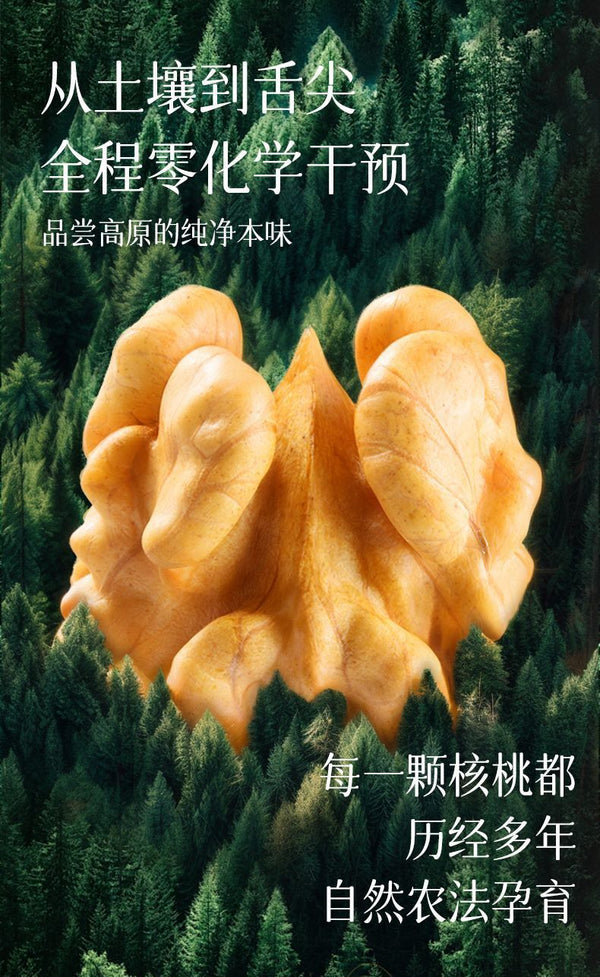 Organic Raw Walnuts – Fresh Shelled, No Additives