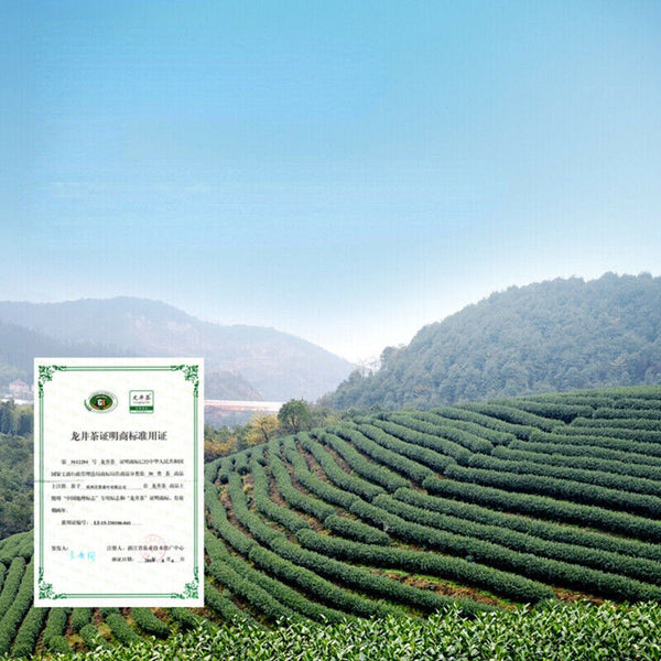 China Top Longjing Tea Fragrant Green Tea 200g New Gift Package Loose Leaf Tea