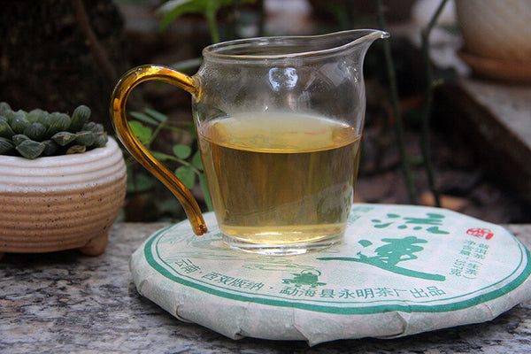 357g 2021 Big Tree Early Spring Tea Yongming Tea Factory Pu'er Raw Tea