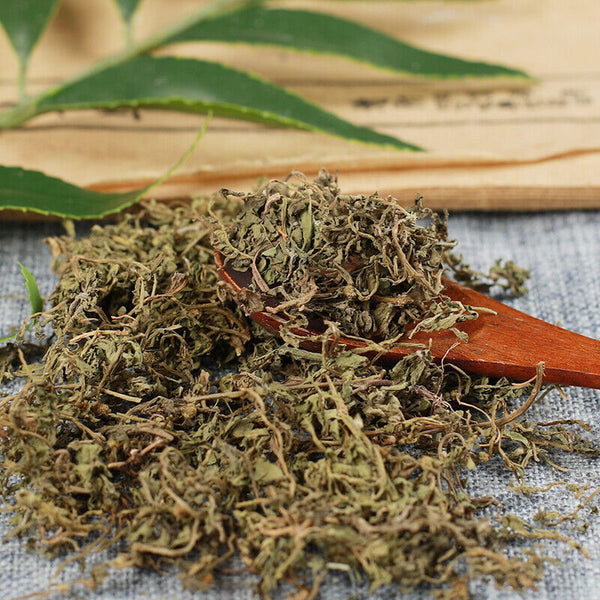 HelloYoung 250g /500g High Quality Ebushicao 100% Organic Top Grade Healthy Herbal Tea 鹅不食草