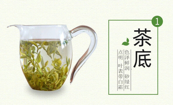 HelloYoung New Tea Shandong Rizhao Green Tea Rizhao Jufeng Buluo Green Tea 500g/1.1lb