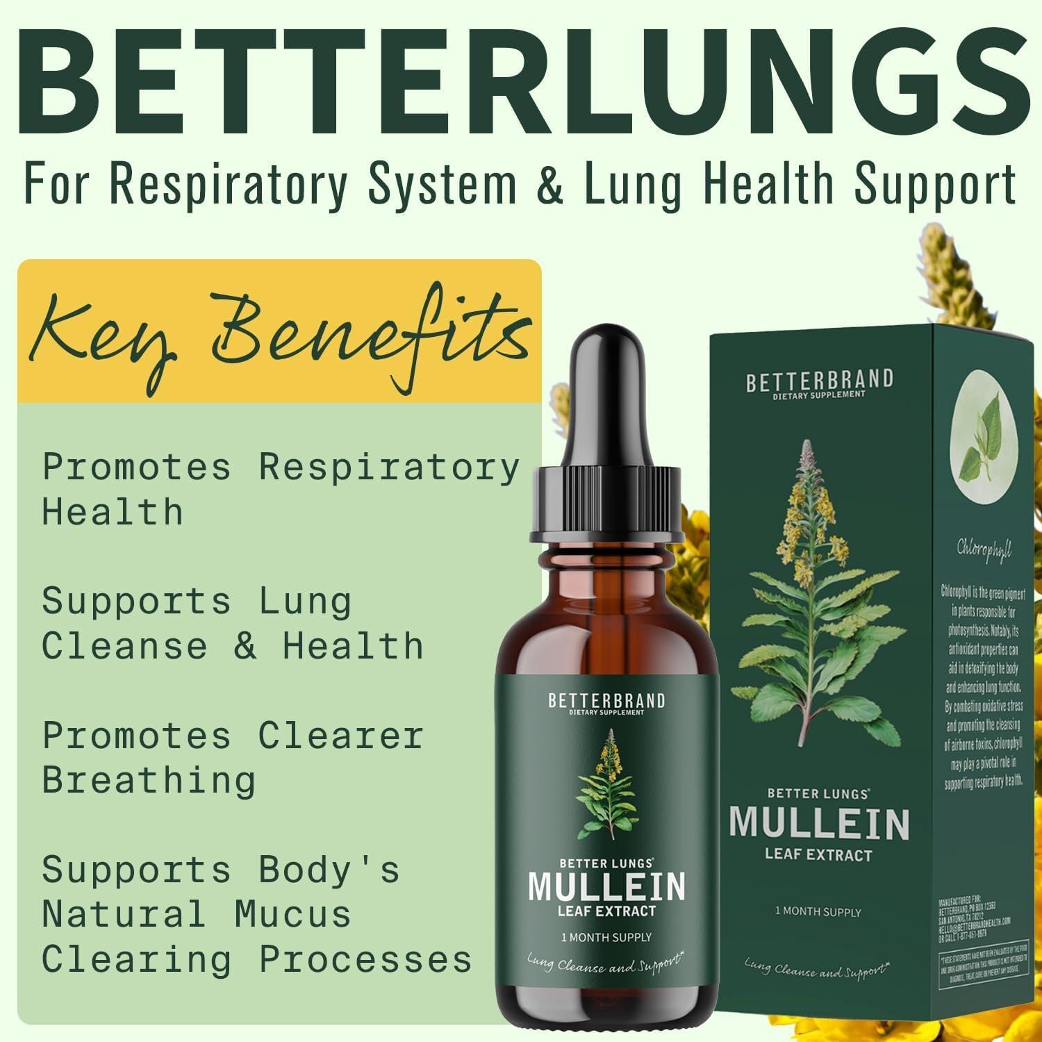 Mullein Leaf Extract Drops All-Natural Health Care Ingredients