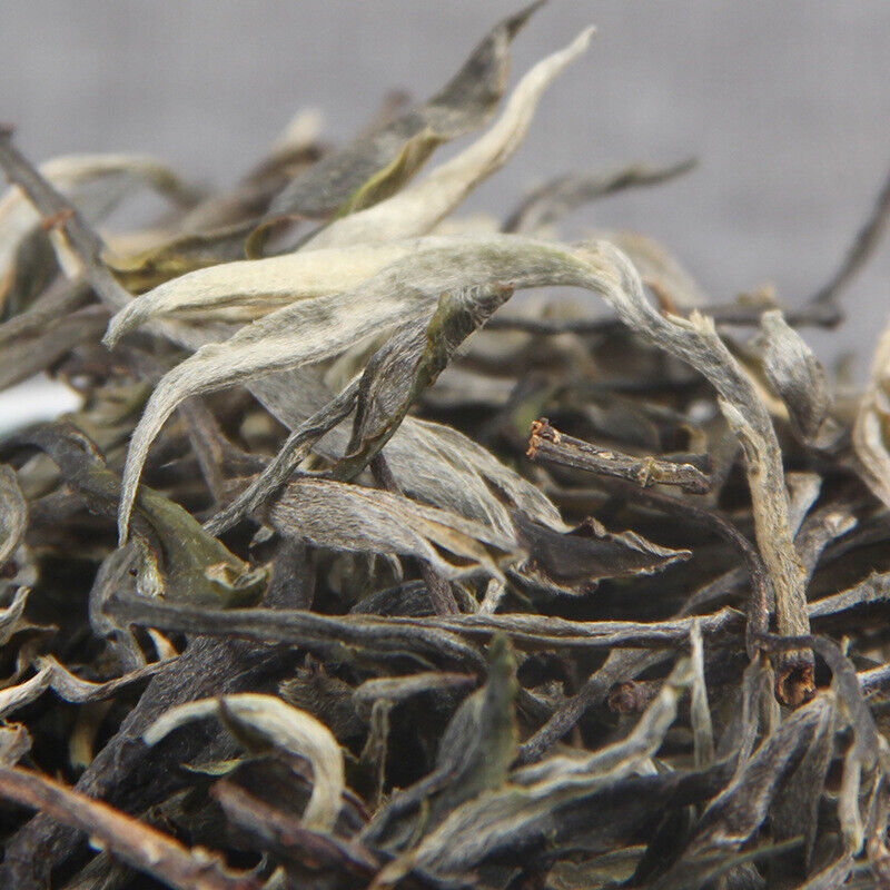 HelloYoung 500g Loose Spring Tea Hundred Years Big Tree Grand Xueshan Pu-erh Cha Tea