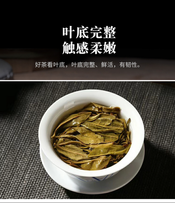 HelloYoung 357g Yunnan Pu'er Tea Raw Tea Da Xueshan Lincang Ancient Tree Arborvitae