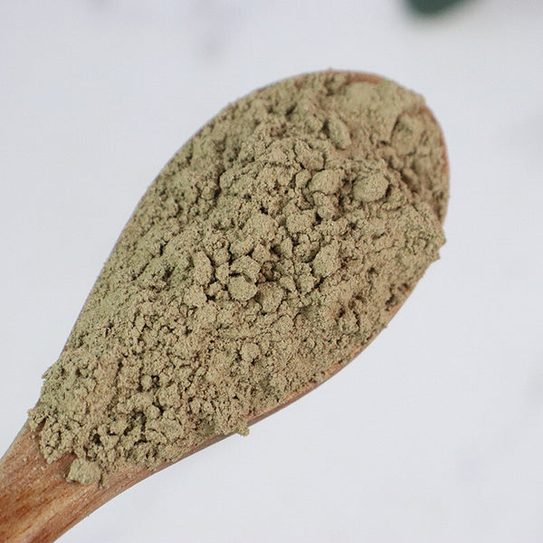 Cuscuta Chinensis Powder Freshly Ground Powder Tu Si Zi Dodder Powder