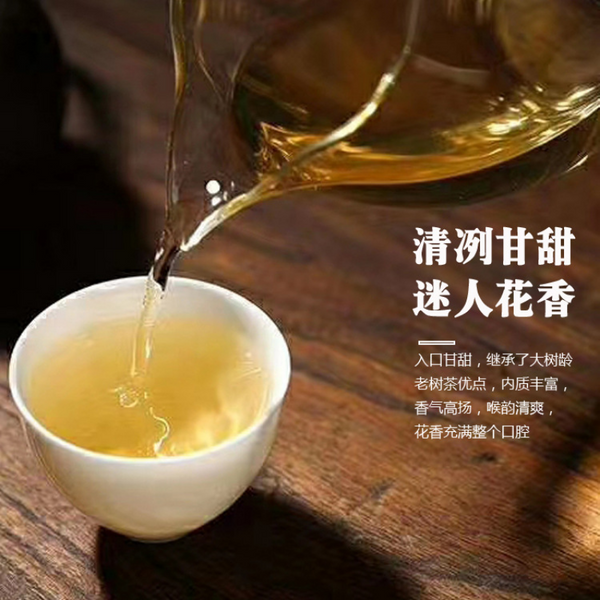 HelloYoung 357g Yunnan Pu'er Tea Raw Tea Da Xueshan Lincang Ancient Tree Arborvitae
