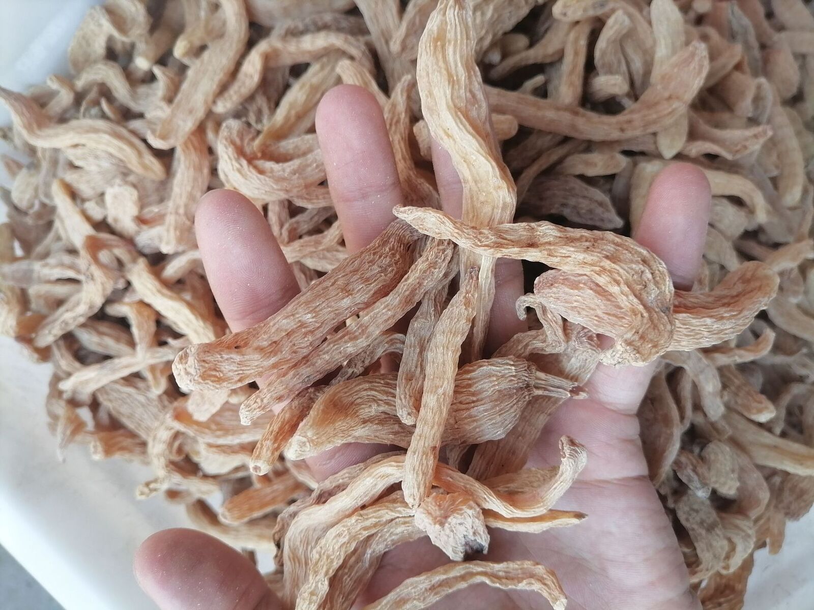 HelloYoung New Dried Tianma Yunnan Wu Tianma Tianma Slices Fresh Xiao Cao Ba 500/1.1lb