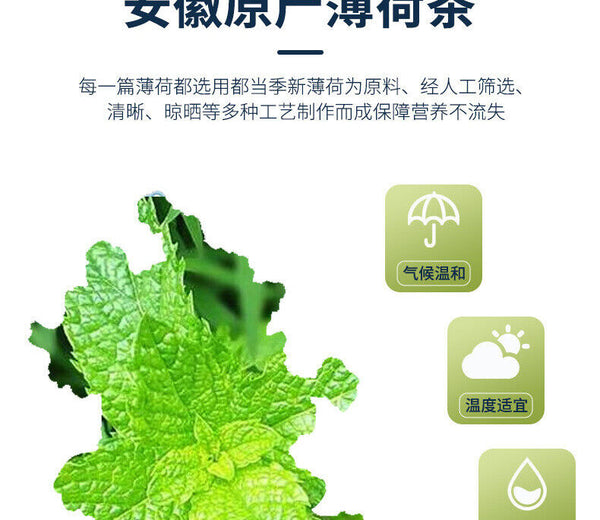 50g Minze Tee Kräutertee Frucht Tee Minze Blatt Kühler Tee Pfefferminze Lose Tee