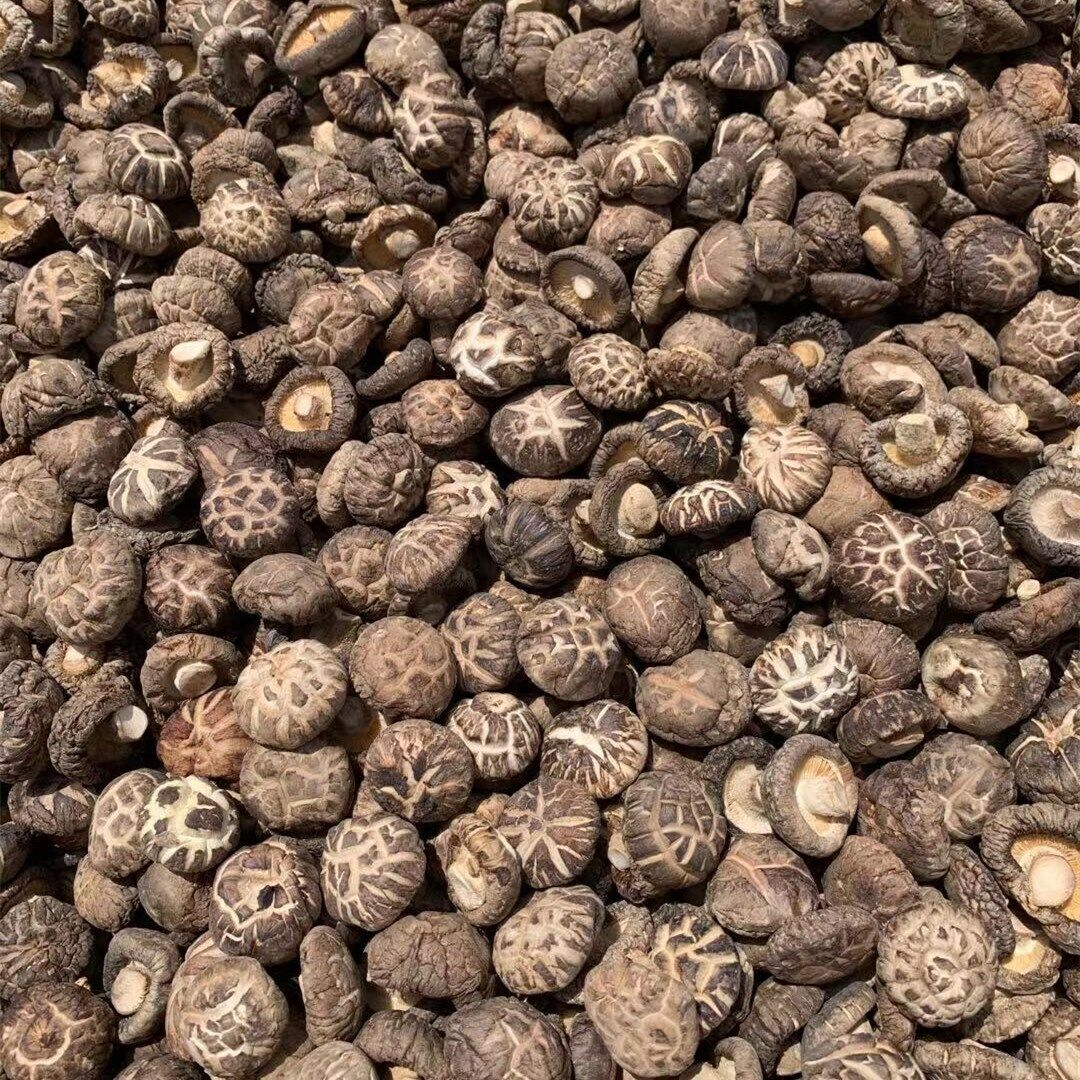 HelloYoung Premium Dried Tea Flower Mushroom Chinese Herbal Edible Fungi Bag Package 250g Main image