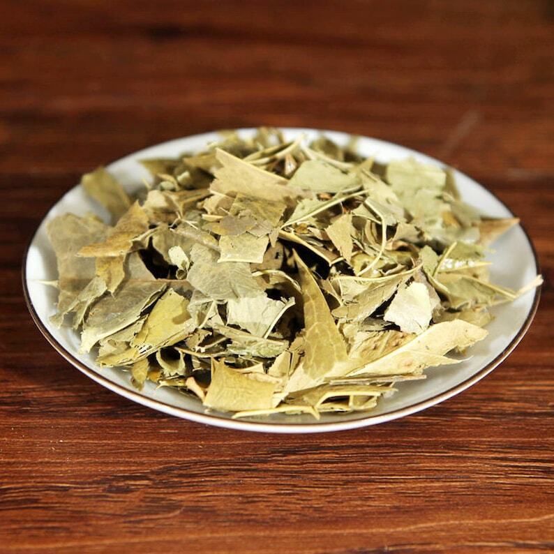 Organic Herbal Chinese Mahonia Leaf Mahonia Bealei Great Quality