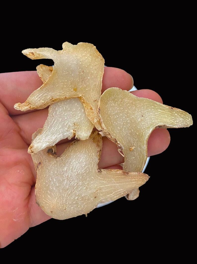 100g Organic Dried Bletilla Striata Bletilla Pseudobulb Rhizoma Bletillae Bai Ji Main image