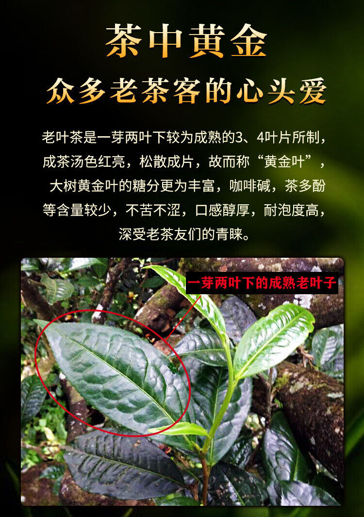 HelloYoung Yunnan Pu'er Old Ripe Tea 200g Yiwu Ripe Tea