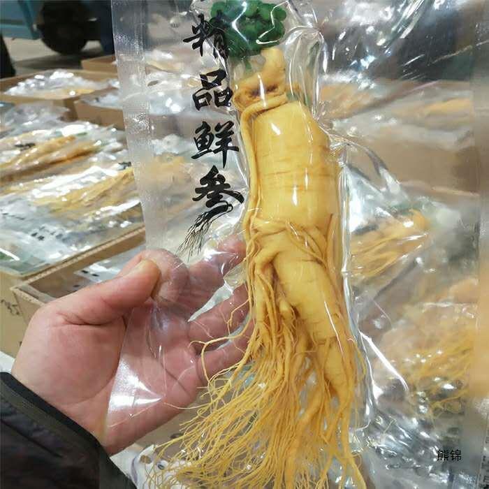 Good for Wine Soaking and Soup Premium Fresh Wild Ginseng from Changbai Mountain Secondary image