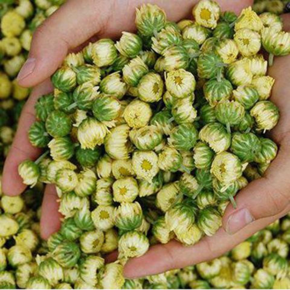 Chrysanthemum Tea Tongxiang Hangbai Wild Chrysanthemums Main image
