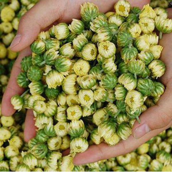 Chrysanthemum Tea Tongxiang Hangbai Wild Chrysanthemums
