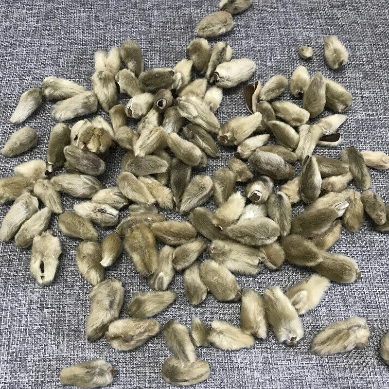 Xinyihua Natural Flavor Tea Dried Flos Magnoliae Flower Tea 250g