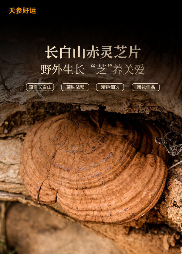 Ganoderma Lucidum Tablets In Tea and Soup Changbaishan Wildlife Infusion Tea