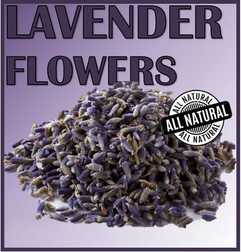 ORGANIC BULK Dried Lavender Flowers Buds - QUICK POST! Main image