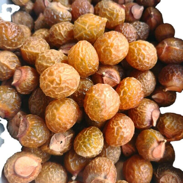 HelloYoung Sapindus indica pericarp herb Sapindus indica pericarp Sapindus indica500g/1.1lb