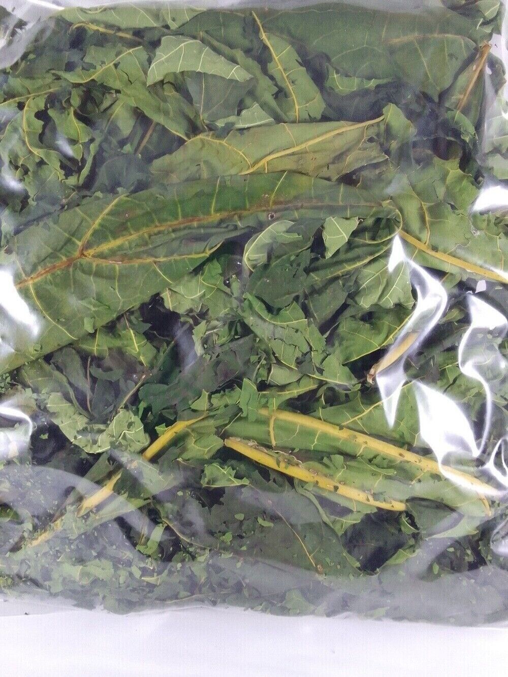 Papaya Leaf Tea Dried Whole Organic Pure Herbal Premium Loose Leaf Natural Main image