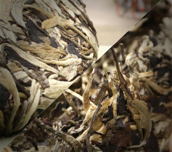 HelloYoung Raw Puerh Tea Organic Moonlight Beauty Menghai Puer Moonlight Sheng Pu-erh 357g