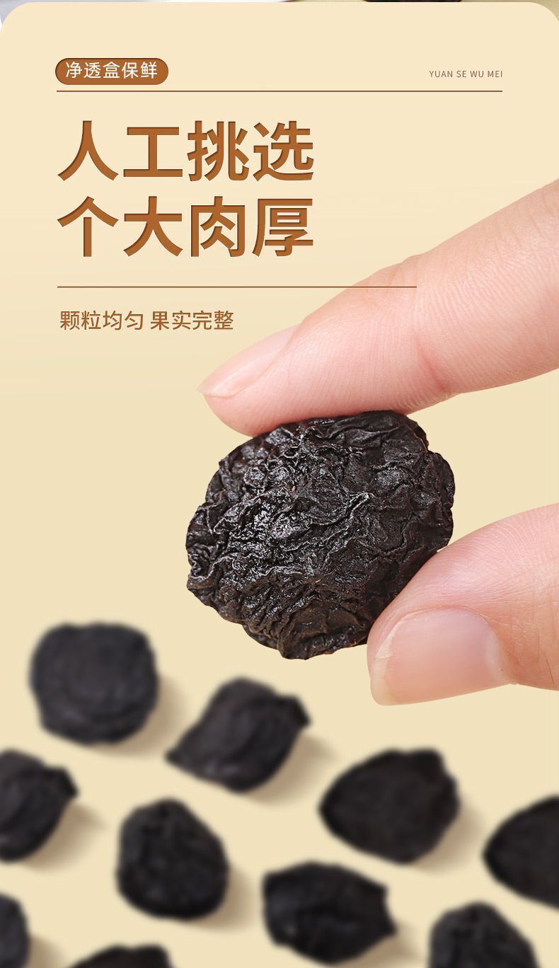 Premium Dried Dark Plum - Large Fruit, High-Quality, Herbal Snack