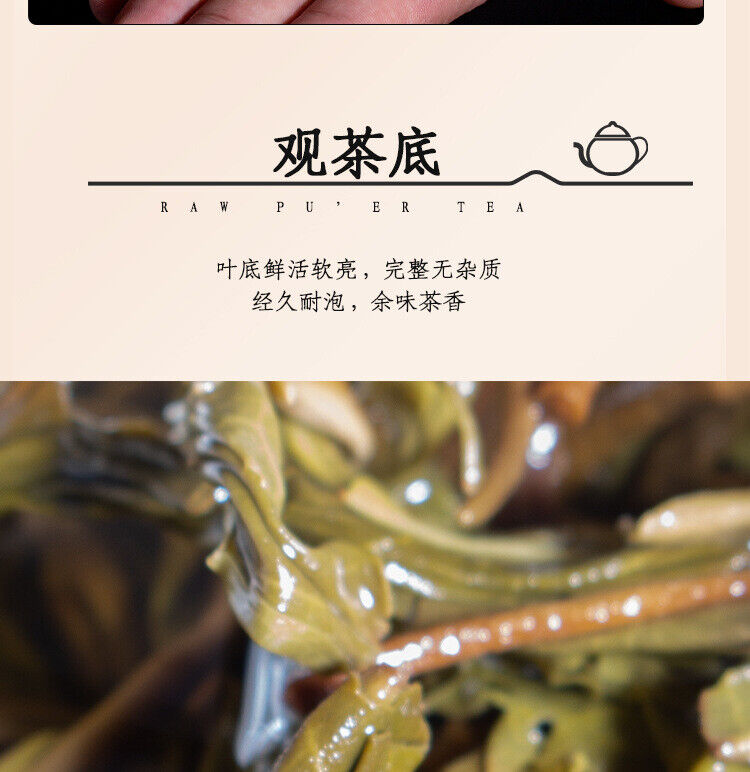 HelloYoung 300g Manzon Yunnan Pu'er tea raw tea leaves old tree pine pressed brick tea
