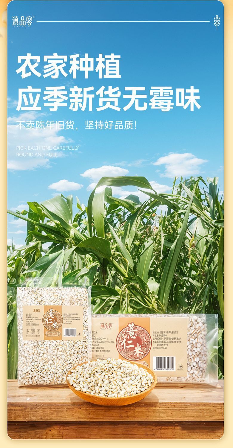 500g Job’s Tears (Coix Seeds) - Whole Grain for Tea & Porridge