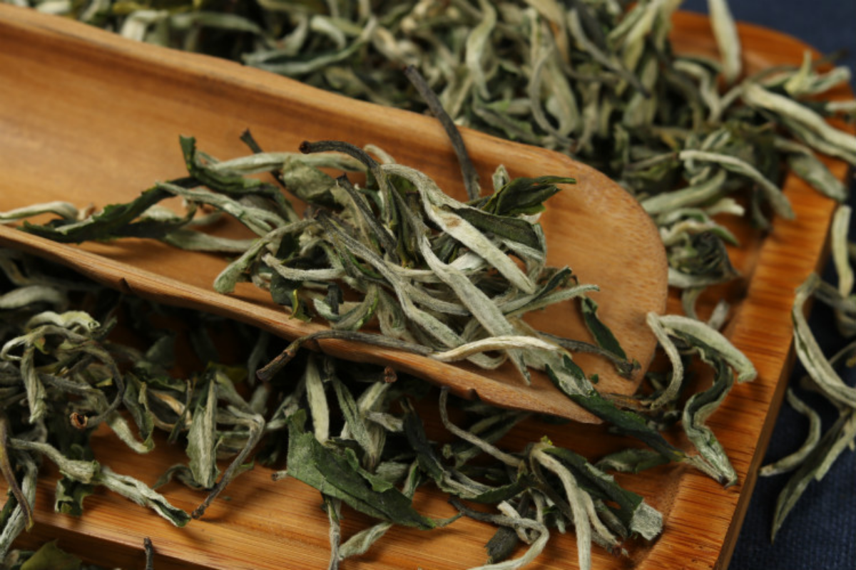 HelloYoung 500g loose tea early spring tea Cui Ming new tea Yunnan green healthy tea