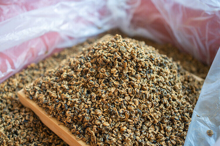 HelloYoung Fengqing Dian Hong tea gold snail spring tea Yunnan black tea red snail gold bud