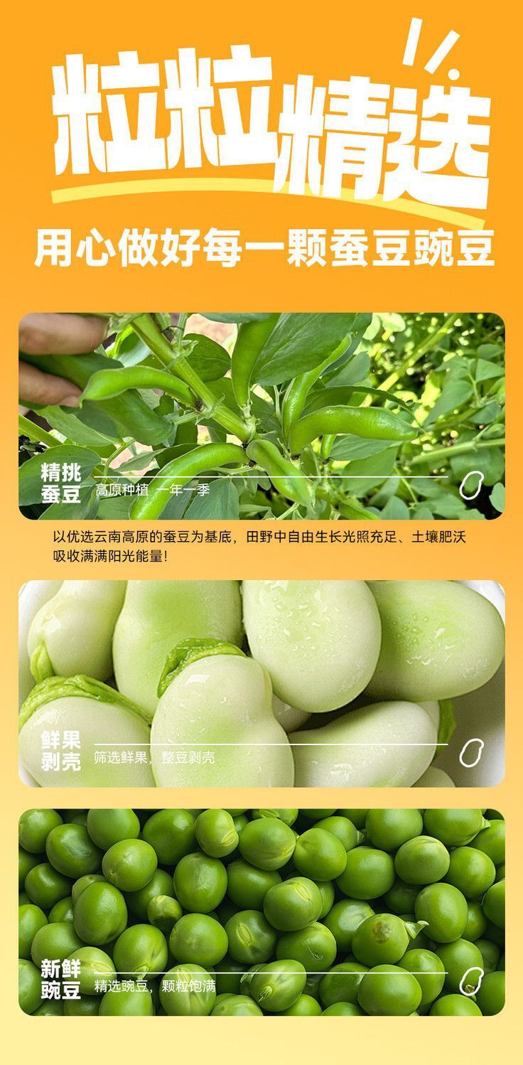 Garlic Beef Broad Bean Chips – Crunchy Healthy Snack