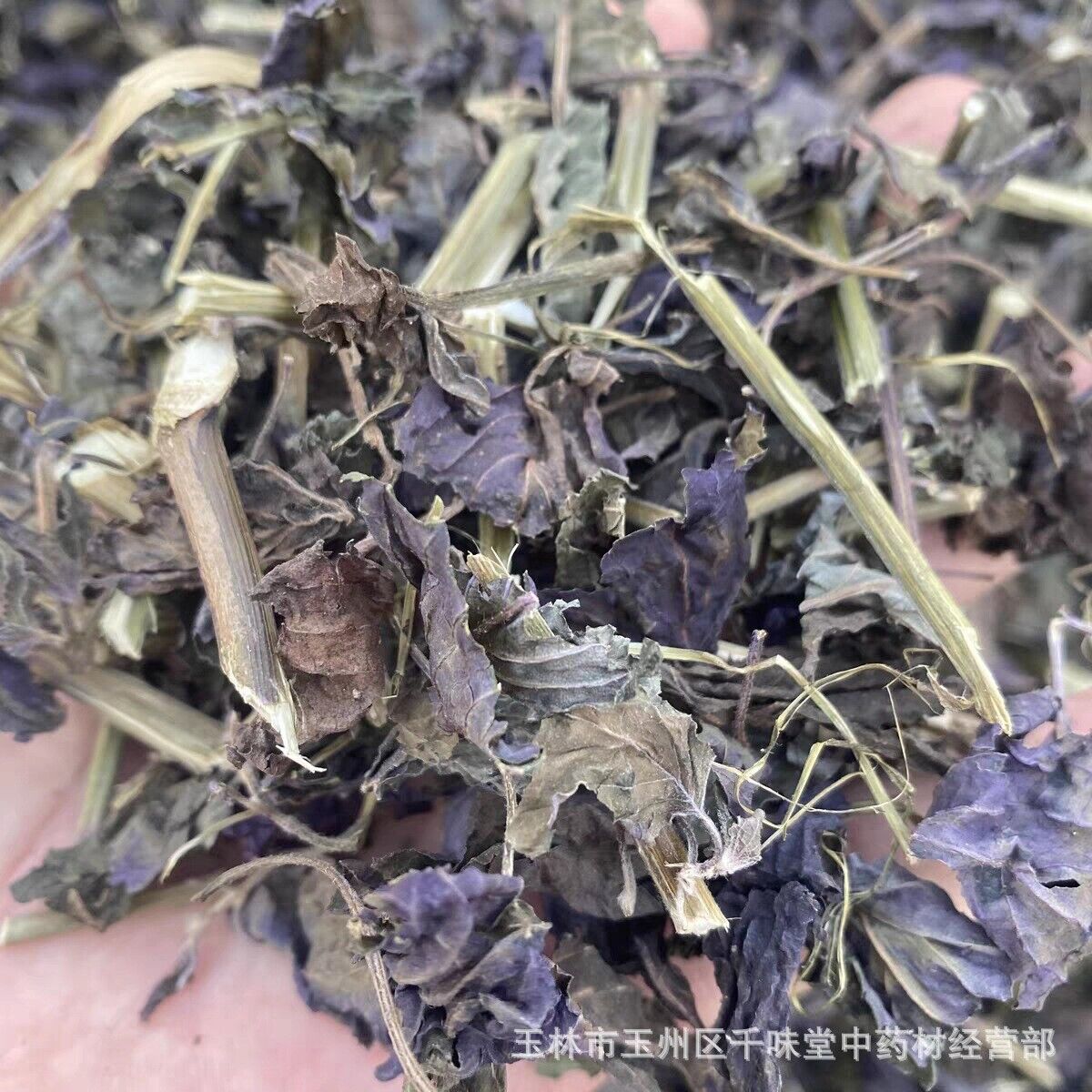 Wild Authentic Perilla Leaf Stalks Natural Freshsulfur-free Perilla Leaves