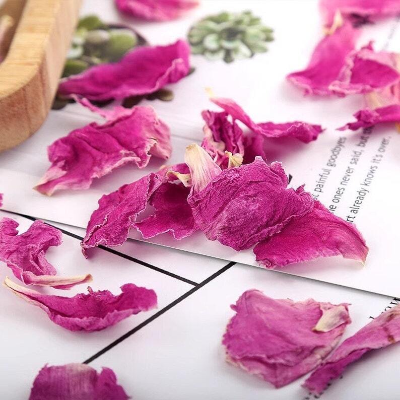 Organic High Quality Peony Petals Flower Tea Paeonia Peony petals