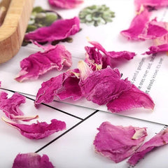 Organic High Quality Peony Petals Flower Tea Paeonia Peony petals