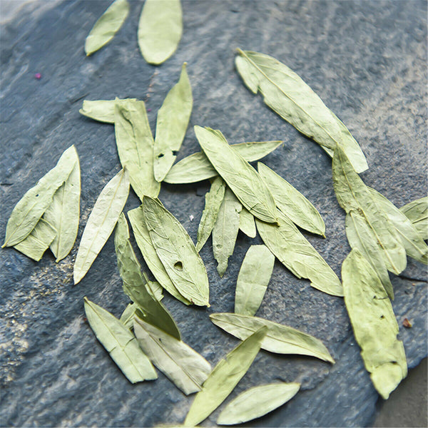 HelloYoung Flower Tea Pure Natural Non-flower Tea for Senna Leaf Panxie Powder Herbal Tea