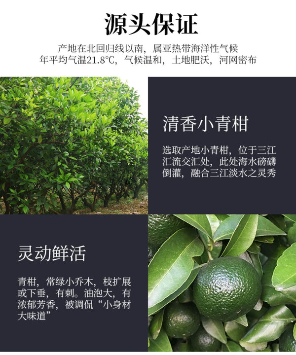 Grüner Orangenschalen-Pu-erh-Tee Reifer Tee Mandarinenschalen-Kumquat-Pu'er