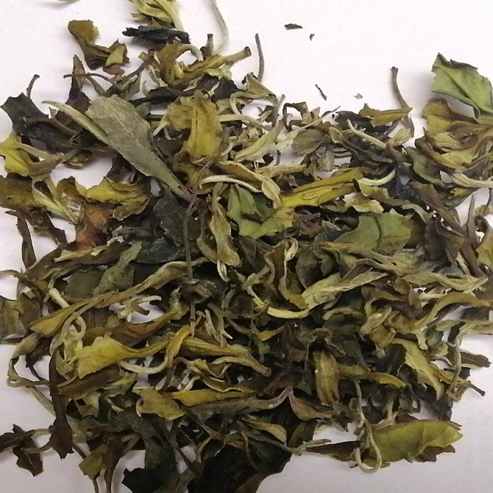 Free Sample Top Quality Organic White Tea Silver Needle Tea Bag Gift Box Loose Main image