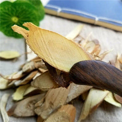 Recommend Nature Dried Levant Cotton Root, Gossypium Herbaceum, Mian Hua Gen