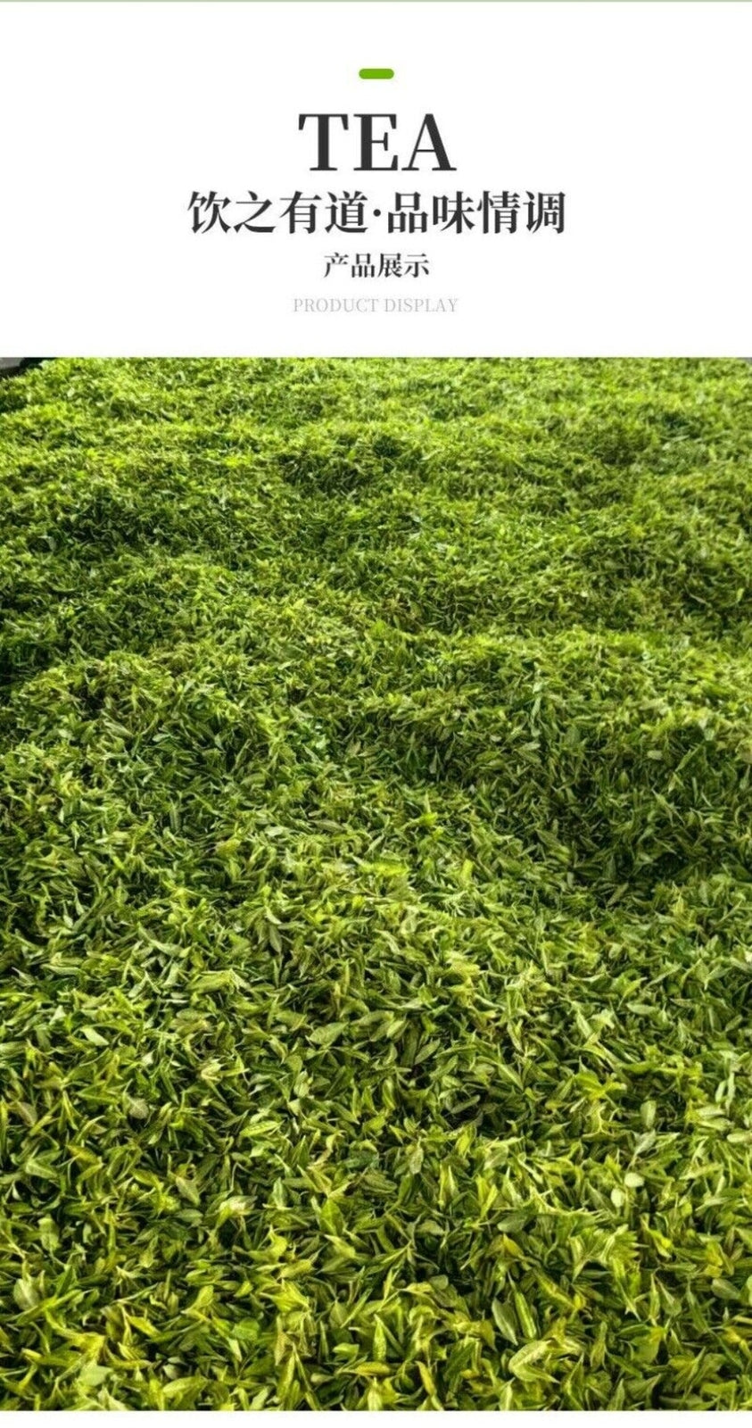 An No 4 Green Tea Iron Can Fresh Picked Premium Gift for Tea Lovers