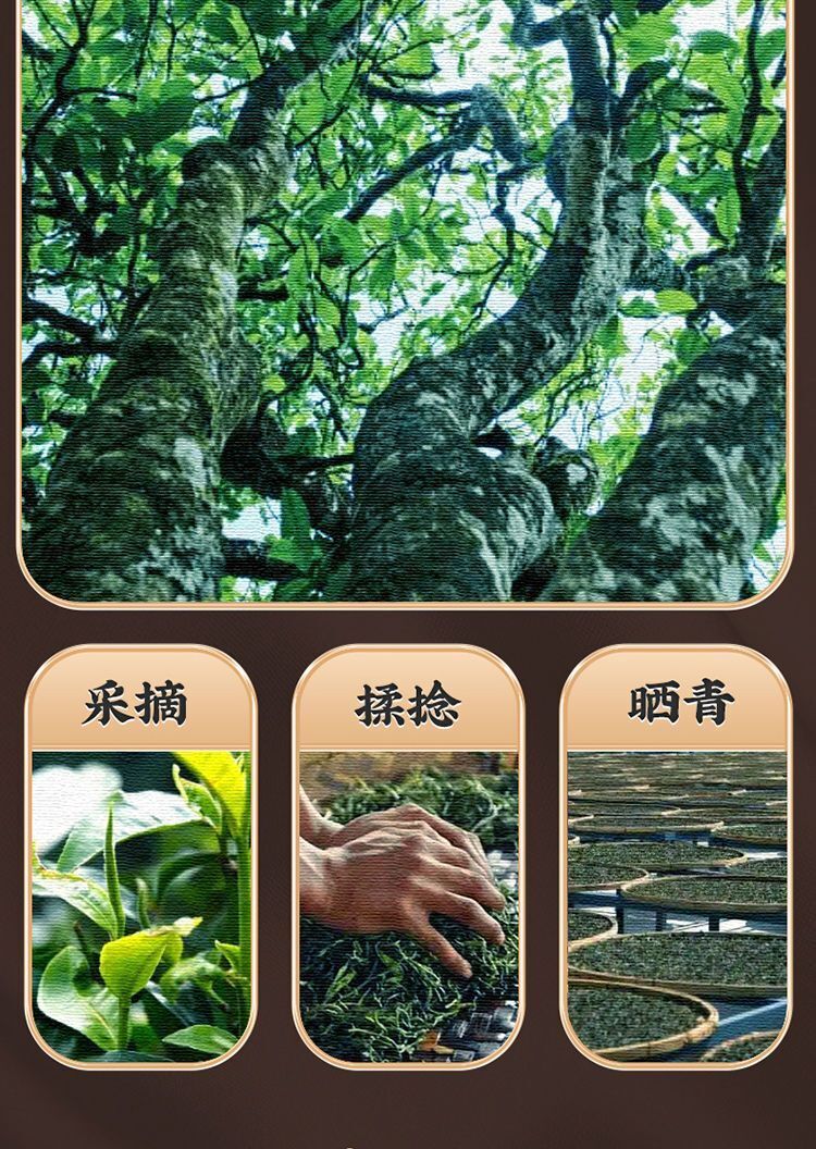 Yunnan Yiwu Tea District Puerh Raw Tea High Mountain Ancient Tree Puerh Tea 500g