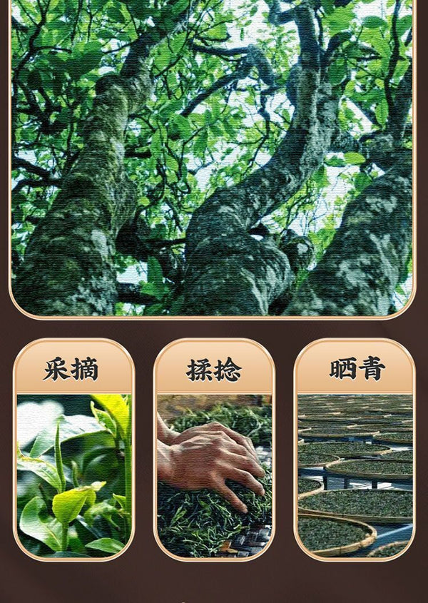 Yunnan Yiwu Tea District Puerh Raw Tea High Mountain Ancient Tree Puerh Tea 500g
